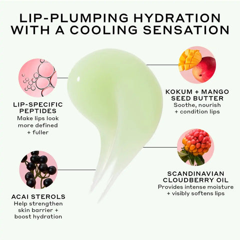 Pout Preserve Chillers Peptide Lip Treatment